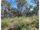 Lot 42 Pacific Drive, Deepwater QLD 4674