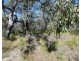 Lot 42 Pacific Drive, Deepwater QLD 4674