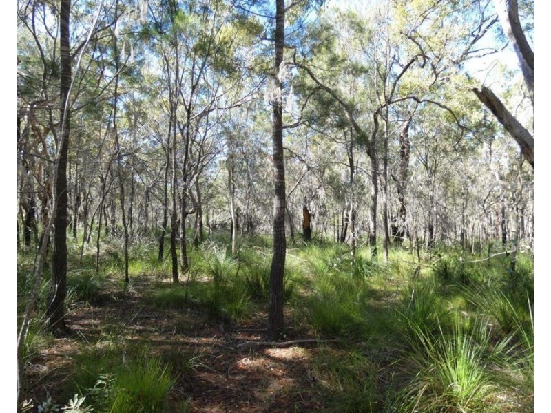 Lot 42 Pacific Drive, Deepwater QLD 4674