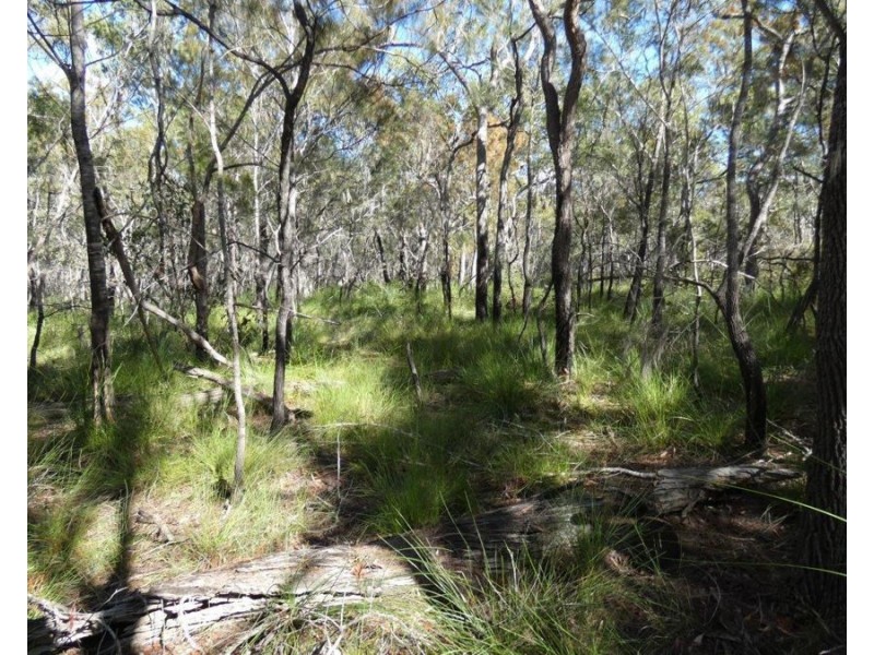 Lot 42 Pacific Drive, Deepwater QLD 4674