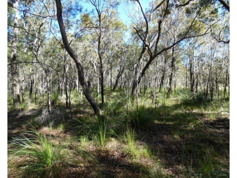 Lot 42 Pacific Drive, Deepwater QLD 4674