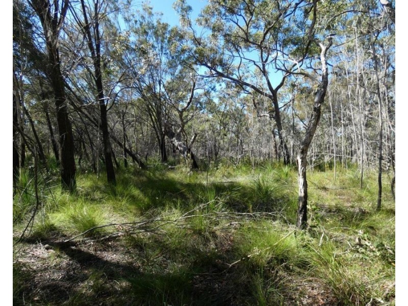 Lot 42 Pacific Drive, Deepwater QLD 4674