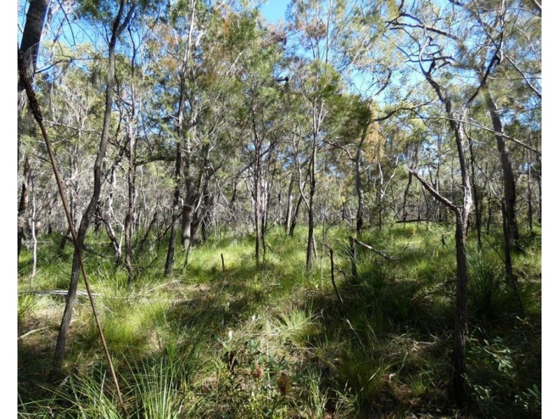 Lot 42 Pacific Drive, Deepwater QLD 4674