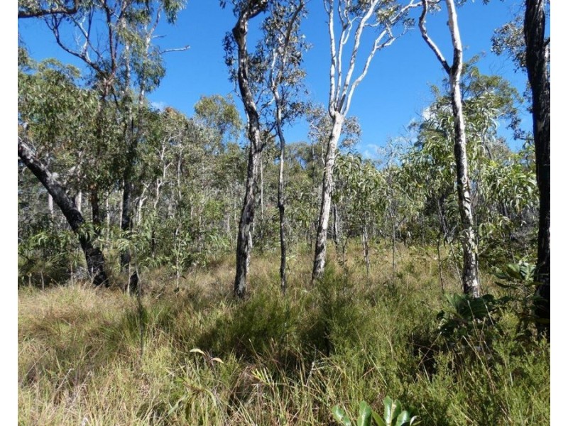 Lot 42 Pacific Drive, Deepwater QLD 4674