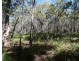 Lot 42 Pacific Drive, Deepwater QLD 4674