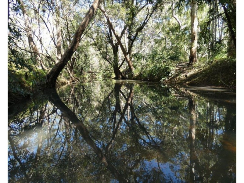 Lot 80 Mitchell Road, Mount Maria QLD 4674