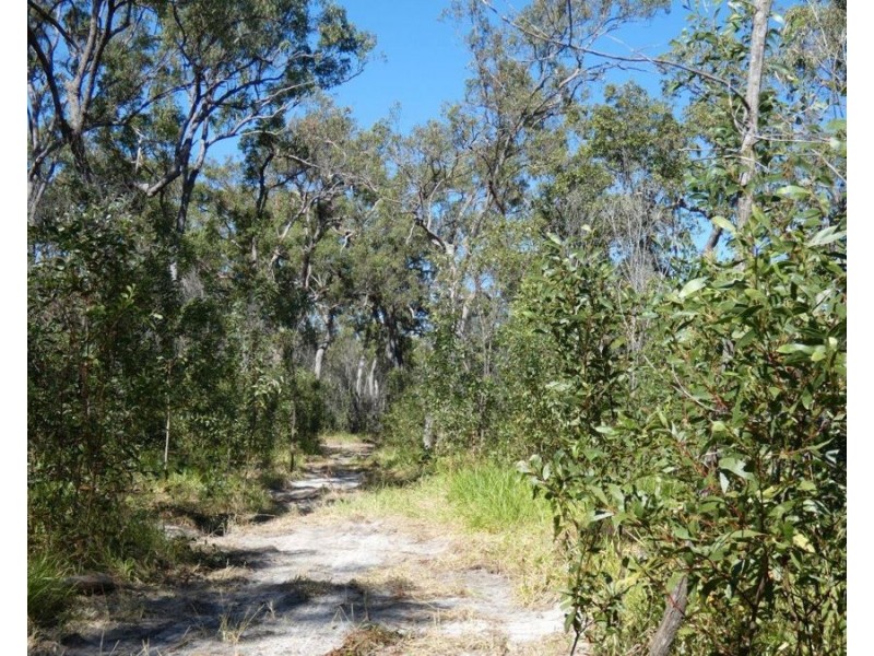 Lot 80 Mitchell Road, Mount Maria QLD 4674