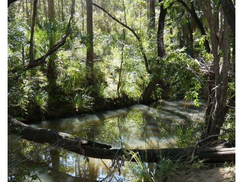 Lot 80 Mitchell Road, Mount Maria QLD 4674