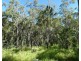 Lot 80 Mitchell Road, Mount Maria QLD 4674