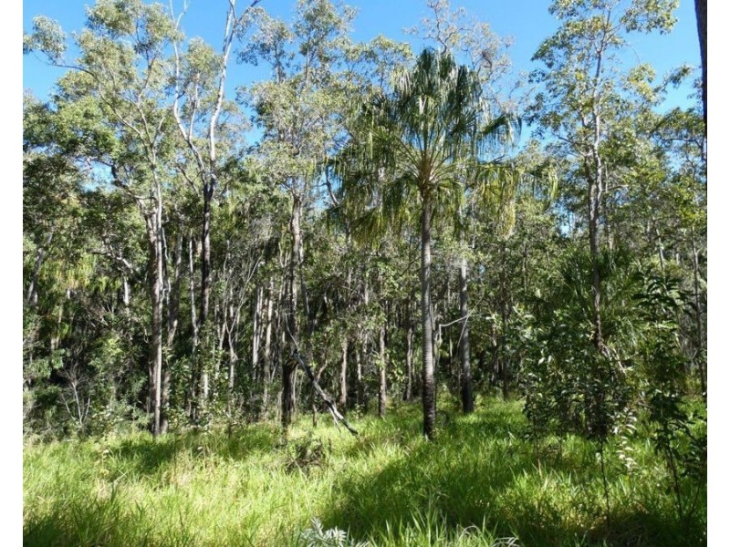 Lot 80 Mitchell Road, Mount Maria QLD 4674