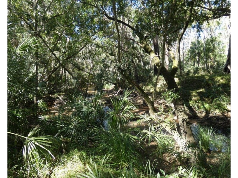 Lot 80 Mitchell Road, Mount Maria QLD 4674