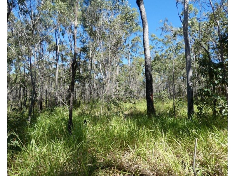 Lot 80 Mitchell Road, Mount Maria QLD 4674