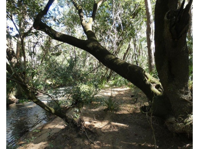 Lot 80 Mitchell Road, Mount Maria QLD 4674