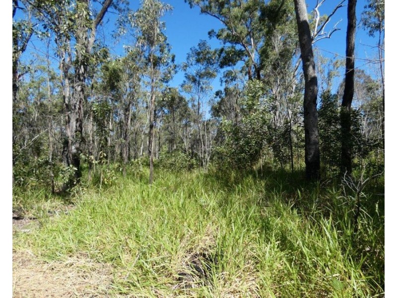 Lot 80 Mitchell Road, Mount Maria QLD 4674