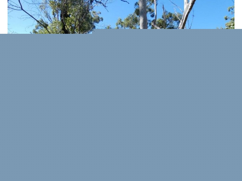 Lot 80 Mitchell Road, Mount Maria QLD 4674