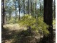 Lot 5 Rosedale Road, Watalgan QLD 4670