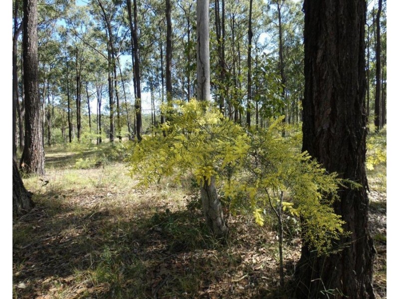 Lot 5 Rosedale Road, Watalgan QLD 4670