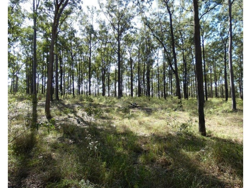 Lot 5 Rosedale Road, Watalgan QLD 4670