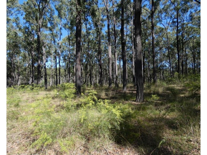 Lot 5 Rosedale Road, Watalgan QLD 4670