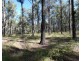 Lot 5 Rosedale Road, Watalgan QLD 4670