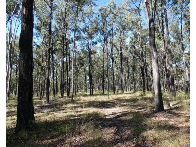Lot 5 Rosedale Road, Watalgan QLD 4670