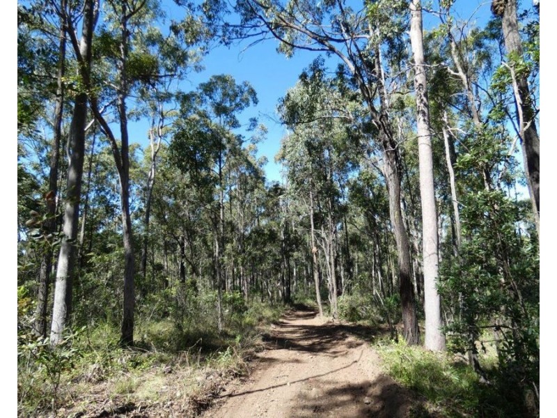 123 Waterloo Road, Waterloo QLD 4673