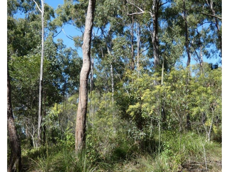 123 Waterloo Road, Waterloo QLD 4673