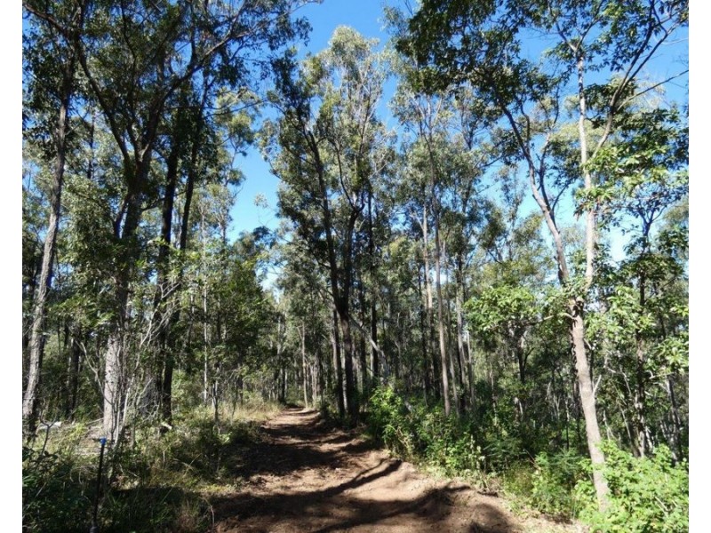 123 Waterloo Road, Waterloo QLD 4673