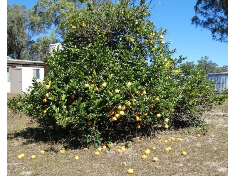 2511 Lowmead Road, Lowmead QLD 4676