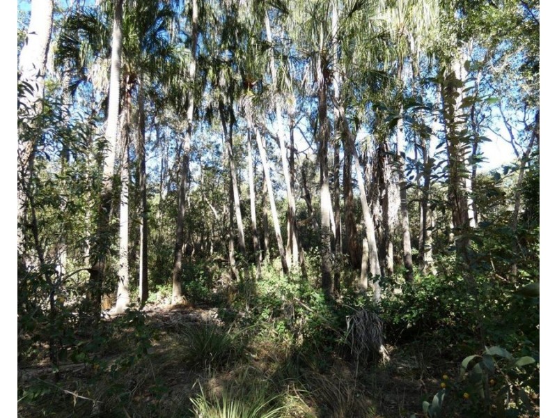 2511 Lowmead Road, Lowmead QLD 4676