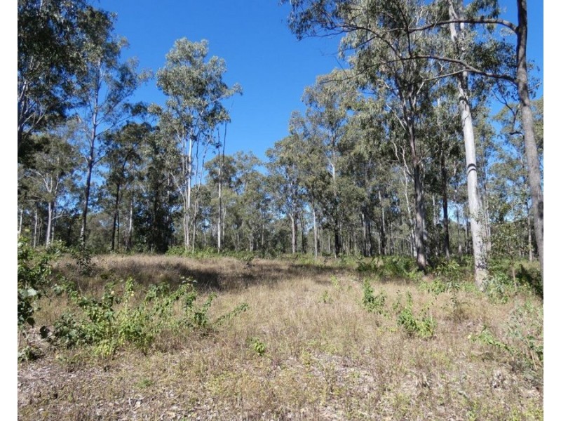 2511 Lowmead Road, Lowmead QLD 4676