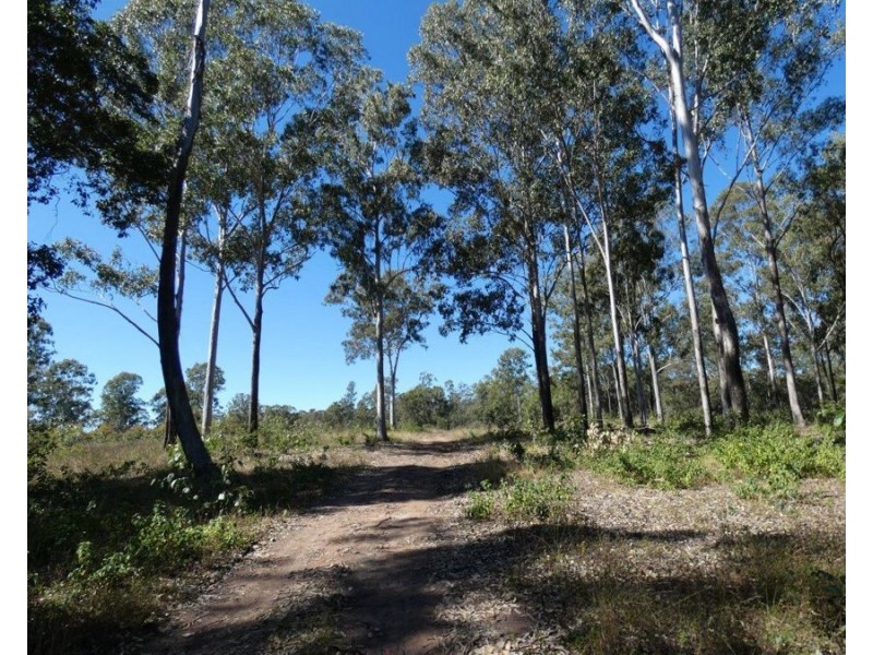 2511 Lowmead Road, Lowmead QLD 4676