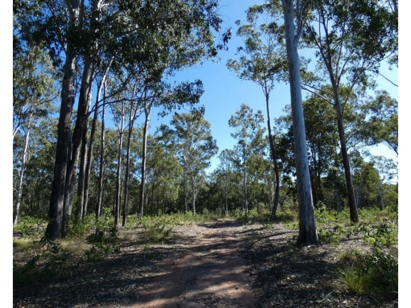 2511 Lowmead Road, Lowmead QLD 4676