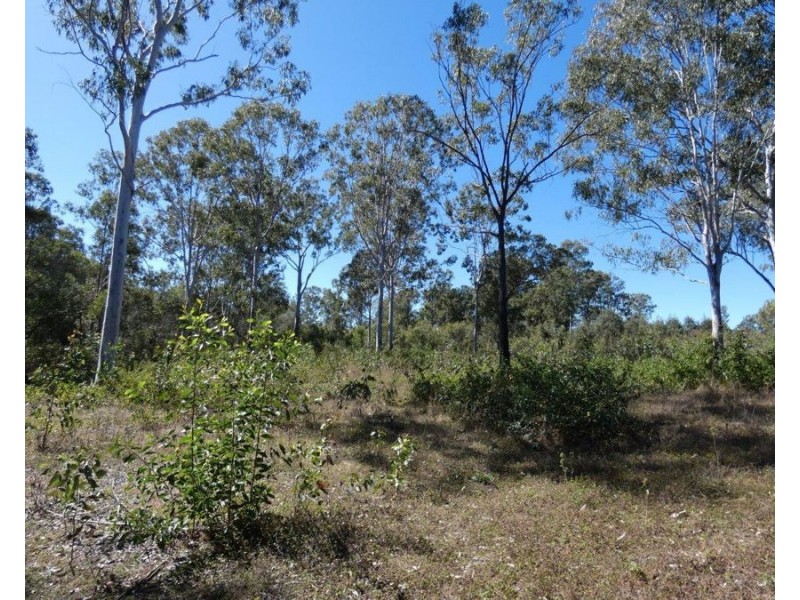 2511 Lowmead Road, Lowmead QLD 4676