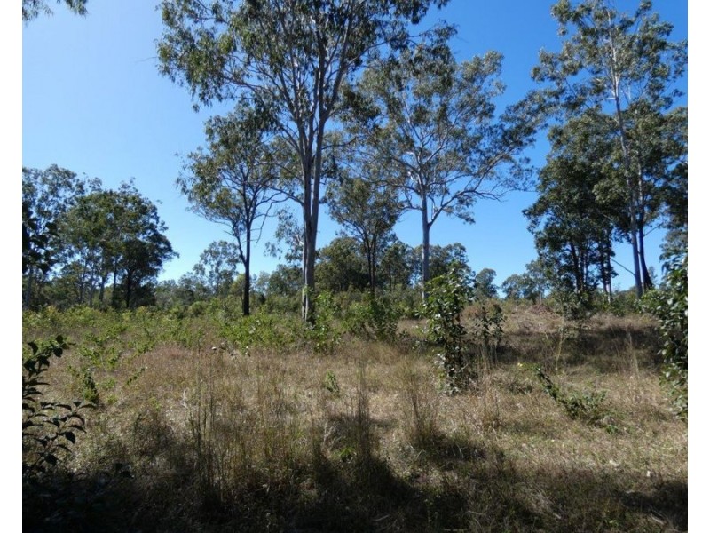 2511 Lowmead Road, Lowmead QLD 4676