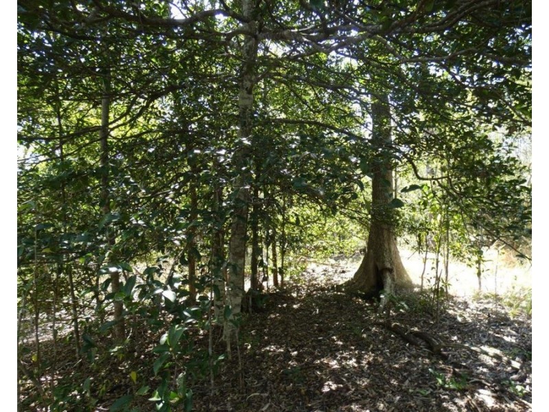 Lot 7 Coast Road, Baffle Creek QLD 4674