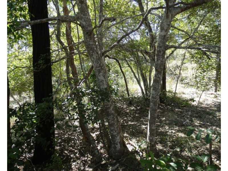 Lot 7 Coast Road, Baffle Creek QLD 4674