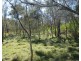 Lot 7 Coast Road, Baffle Creek QLD 4674