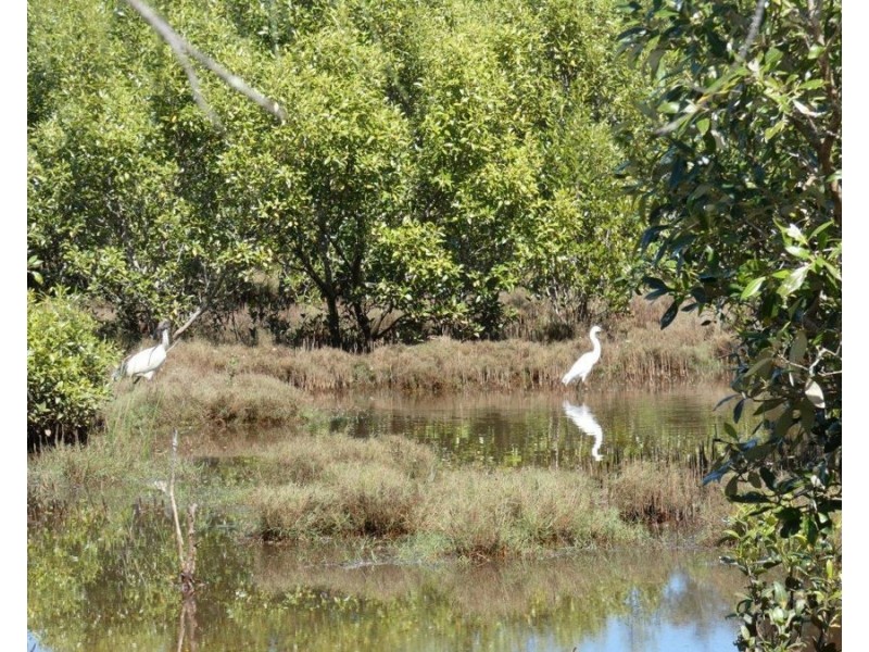 Lot 7 Coast Road, Baffle Creek QLD 4674