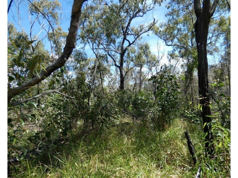 Lot 7 Coast Road, Baffle Creek QLD 4674