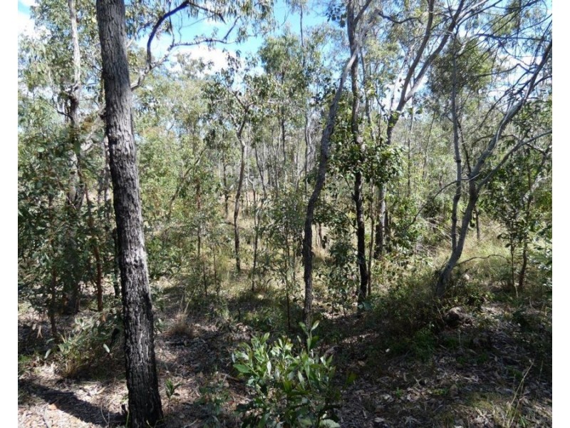 Lot 7 Coast Road, Baffle Creek QLD 4674