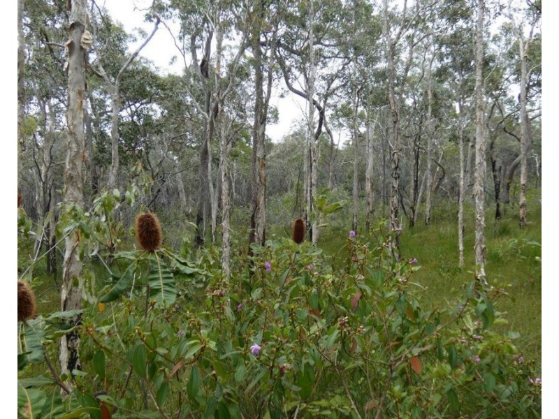 Lot 125 Seabreeze Court, Deepwater QLD 4674