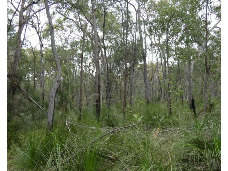 Lot 125 Seabreeze Court, Deepwater QLD 4674