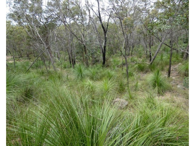 Lot 125 Seabreeze Court, Deepwater QLD 4674