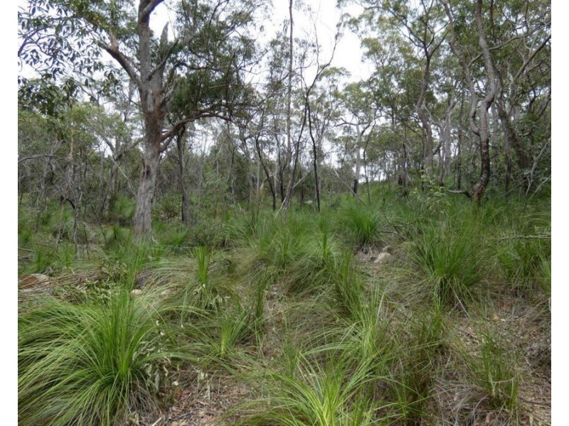 Lot 125 Seabreeze Court, Deepwater QLD 4674