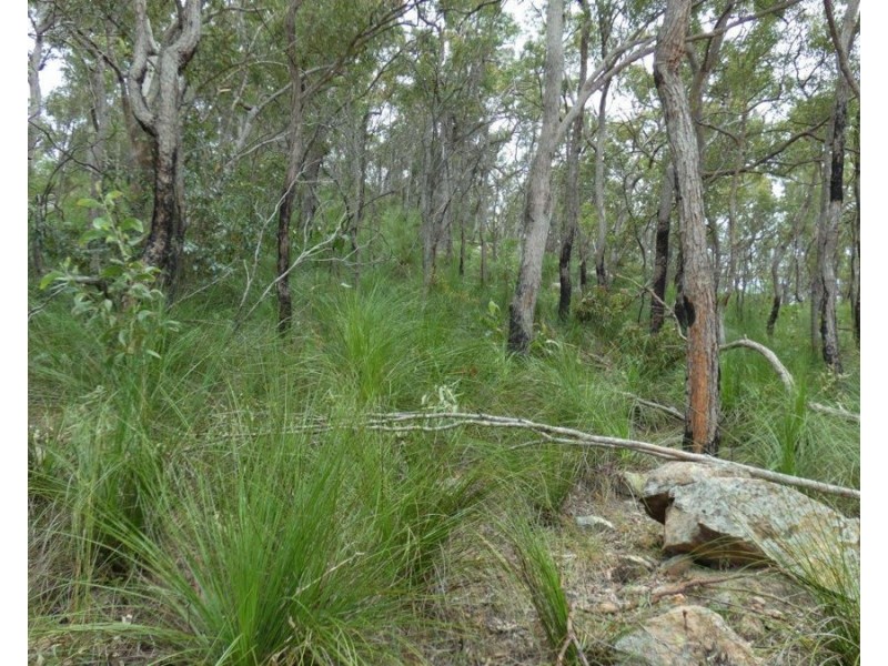 Lot 125 Seabreeze Court, Deepwater QLD 4674