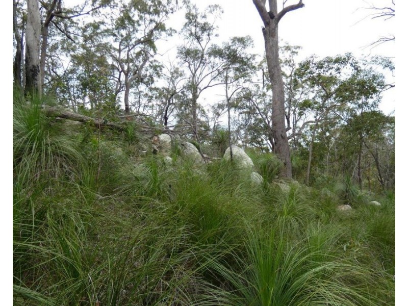 Lot 125 Seabreeze Court, Deepwater QLD 4674