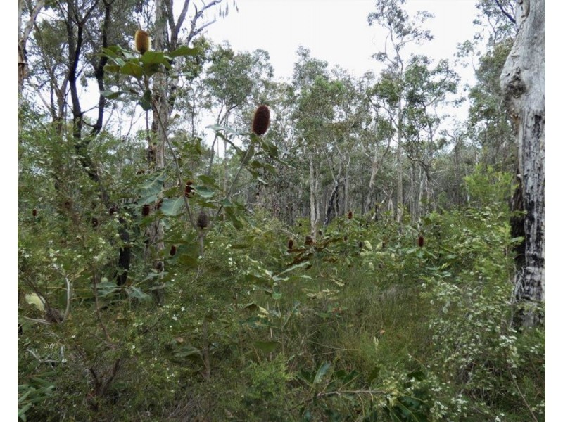 Lot 125 Seabreeze Court, Deepwater QLD 4674