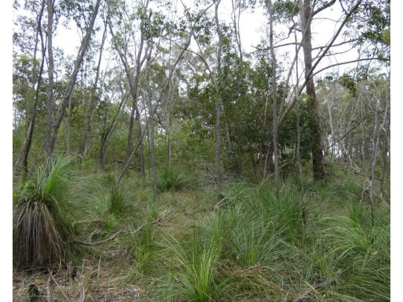 Lot 125 Seabreeze Court, Deepwater QLD 4674