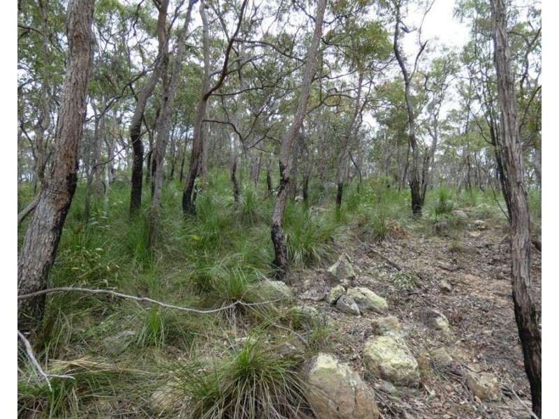 Lot 125 Seabreeze Court, Deepwater QLD 4674